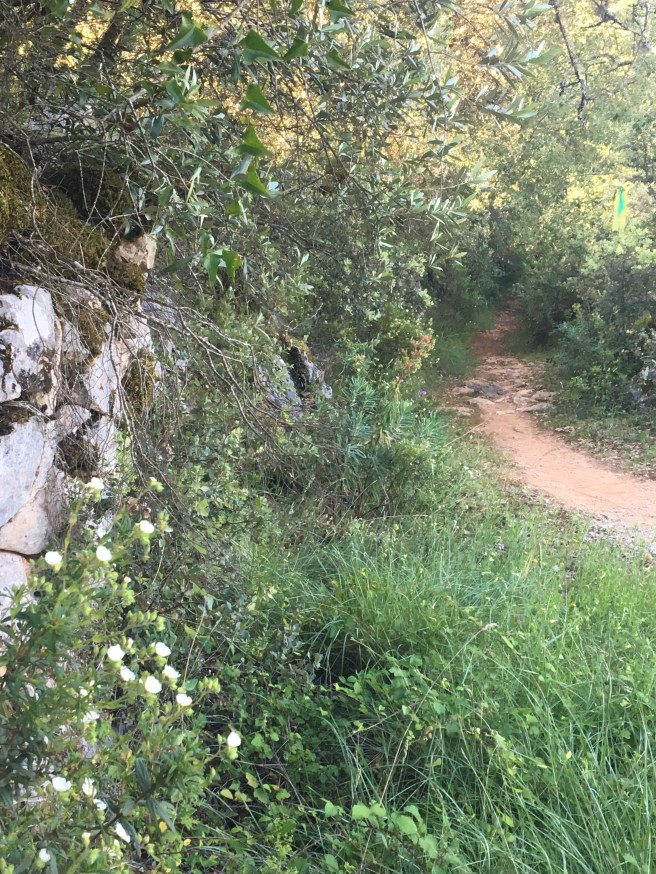 428232F5-980B-4A46-88DA-151812A12FD8