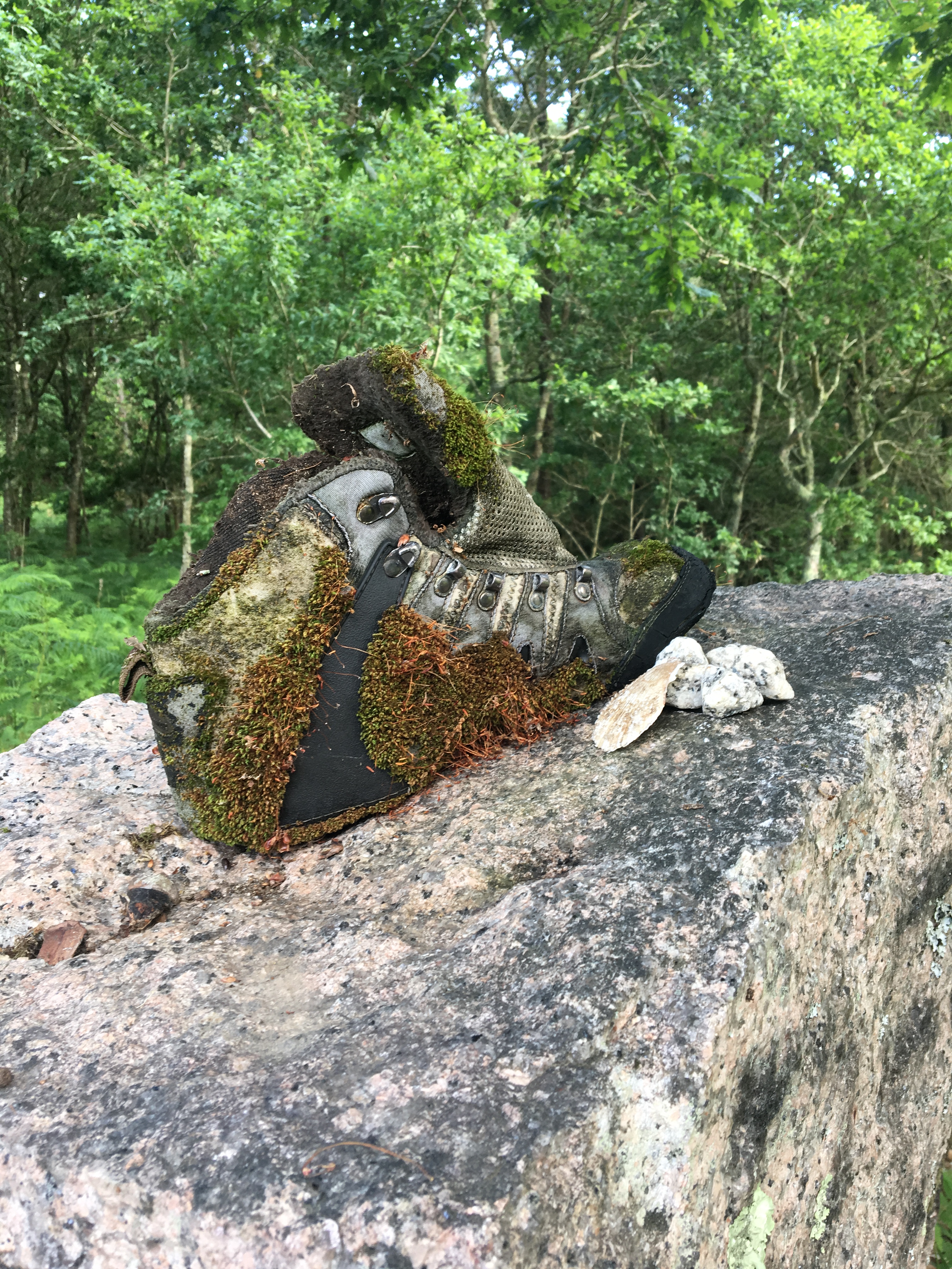 B3B06C0F-95B8-4F9A-BA14-36162DCFB9DA